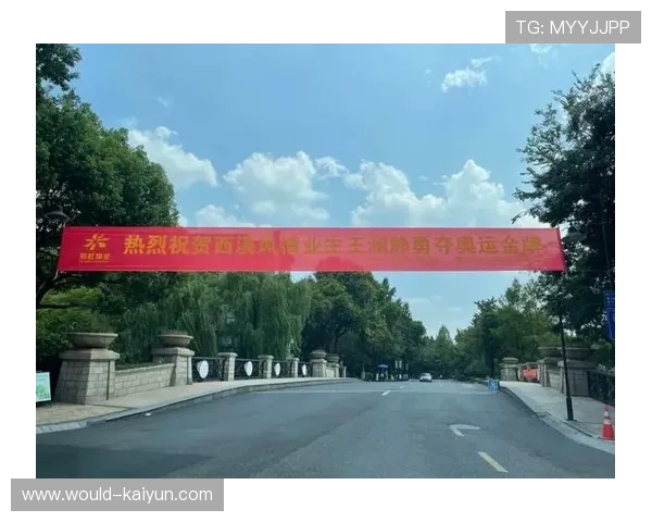运动员“家乡荣誉”：小村庄的奥运冠军横幅